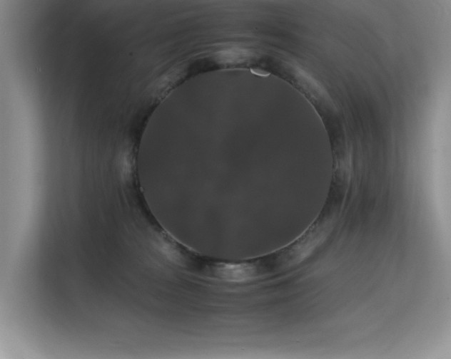 X0000112150277200908071122