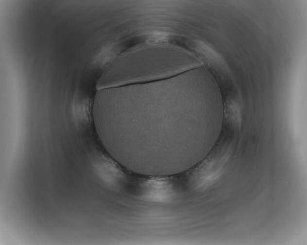 X0000112150280200908071122