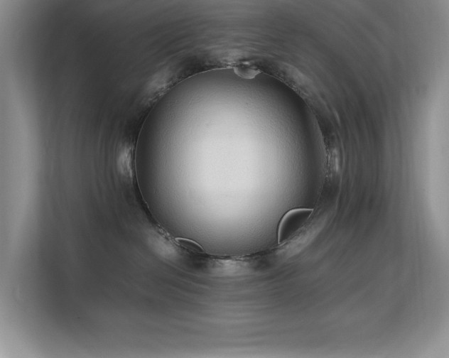 X0000112150286200908071122