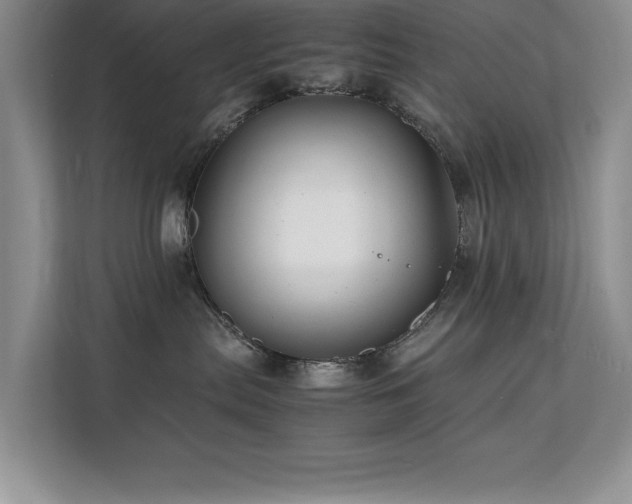 X0000112150287200908071122