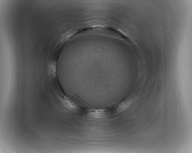 X0000112150288200908071122
