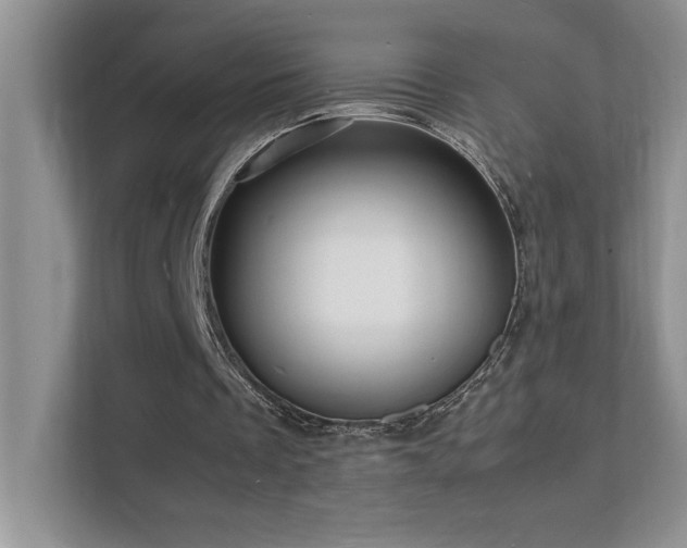 X0000112150289200908071121