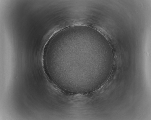 X0000112150290200908071121