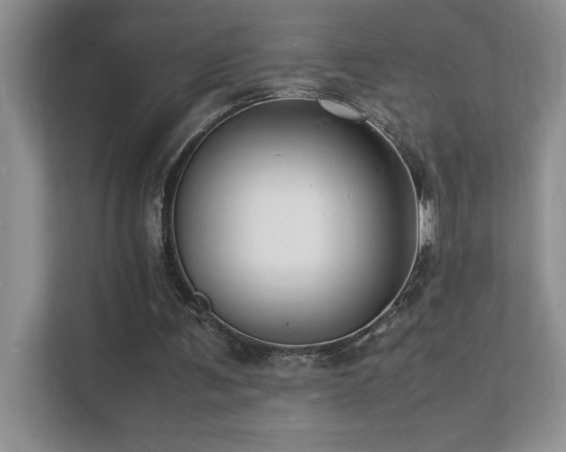 X0000112150291200908071121