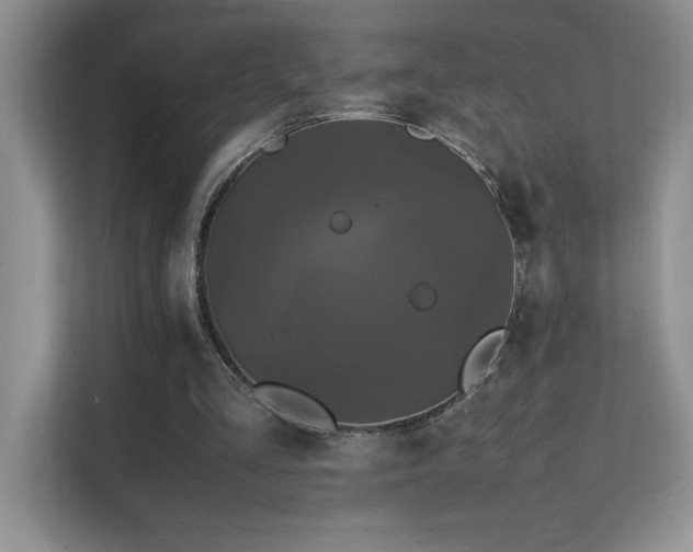 X0000112150293200908071121