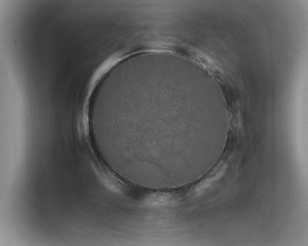 X0000112150294200908071121