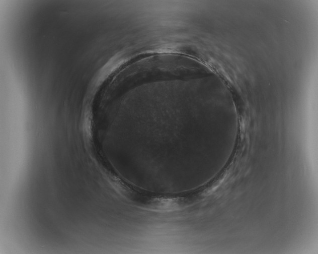 X0000112150295200908071121