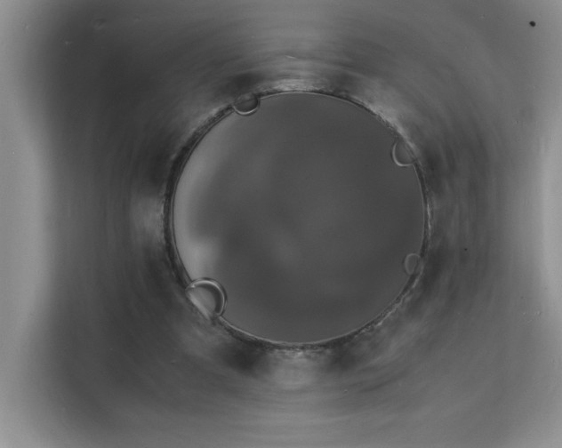 X0000112150297200908071121
