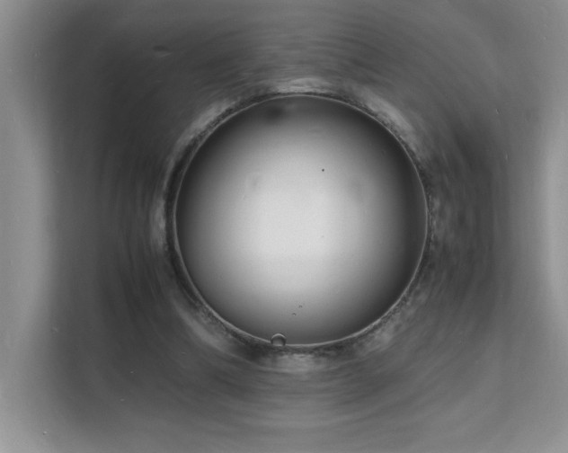 X0000112150298200908071121