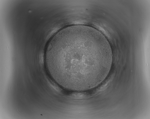 X0000112150299200908071121