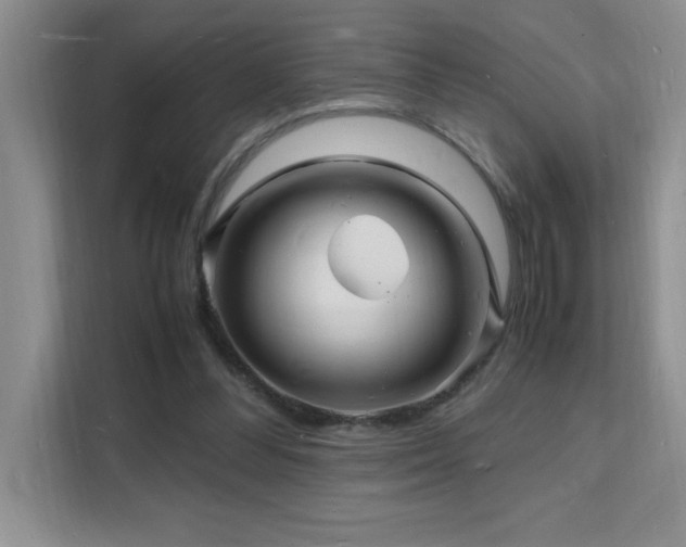X0000112150300200908071121
