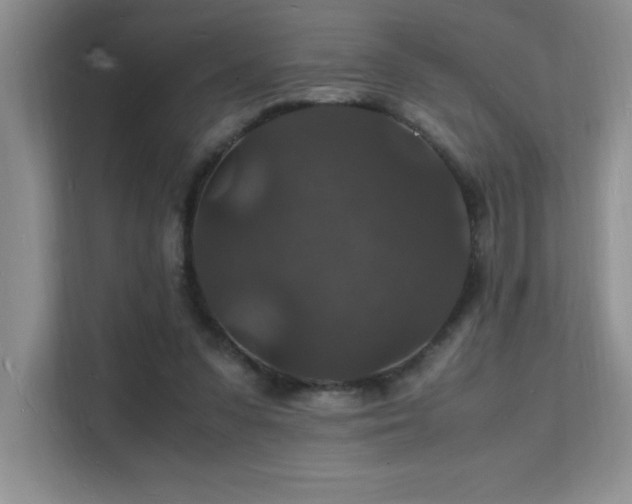 X0000112150303200908071121