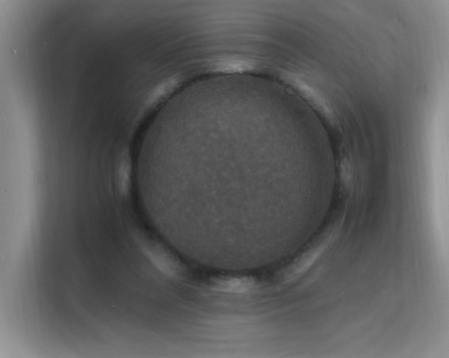 X0000112150304200908071121