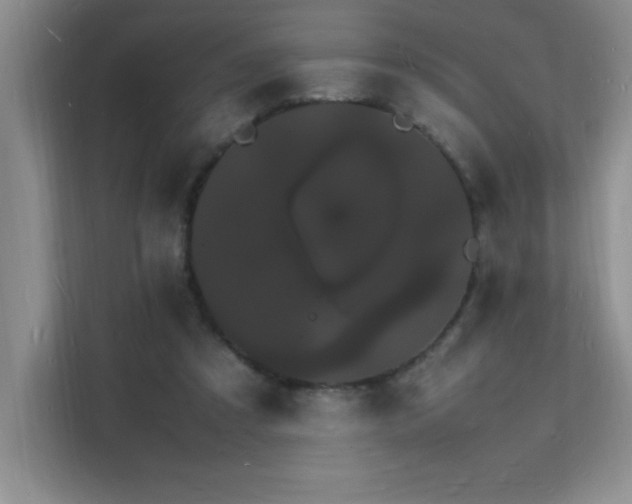 X0000112150305200908071121