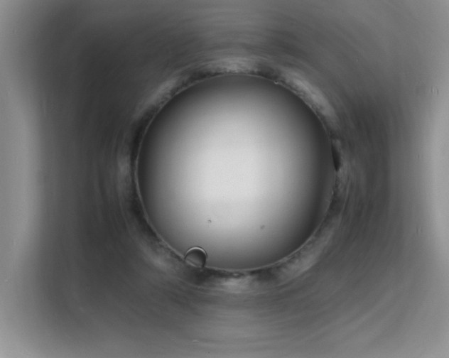 X0000112150306200908071121