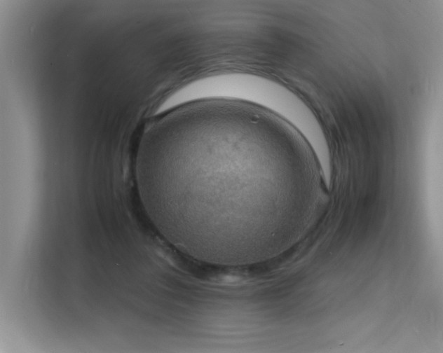X0000112150308200908071121