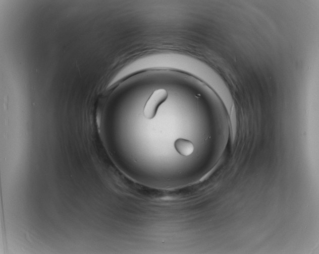 X0000112150312200908071121
