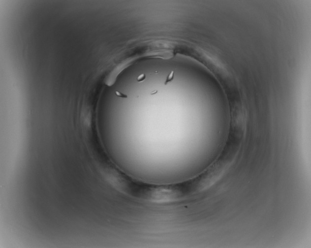X0000112150315200908071121