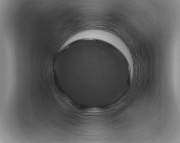X0000112150316200908071121