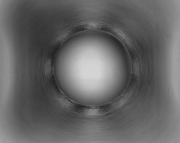 X0000112150318200908071121