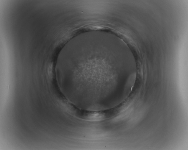 X0000112150319200908071121