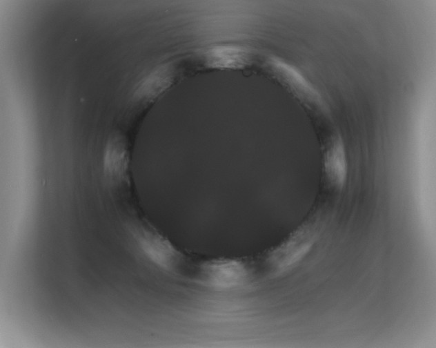 X0000112150322200908071121