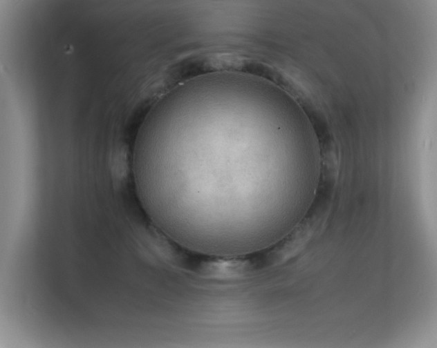 X0000112150323200908071121