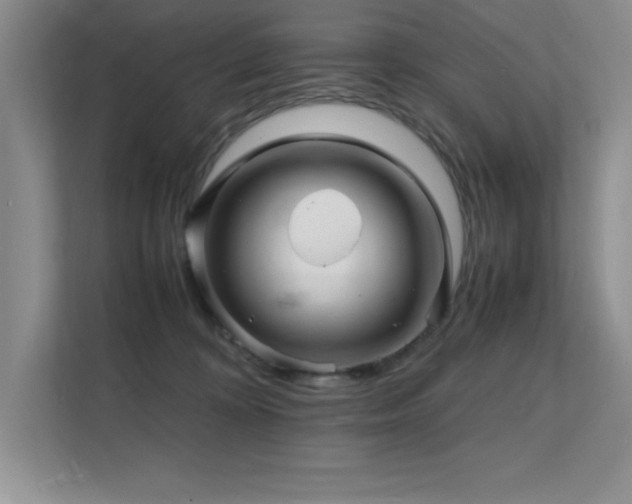X0000112150324200908071121