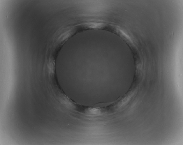 X0000112150325200908071121