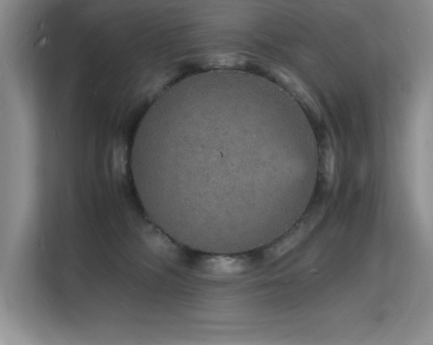 X0000112150326200908071121