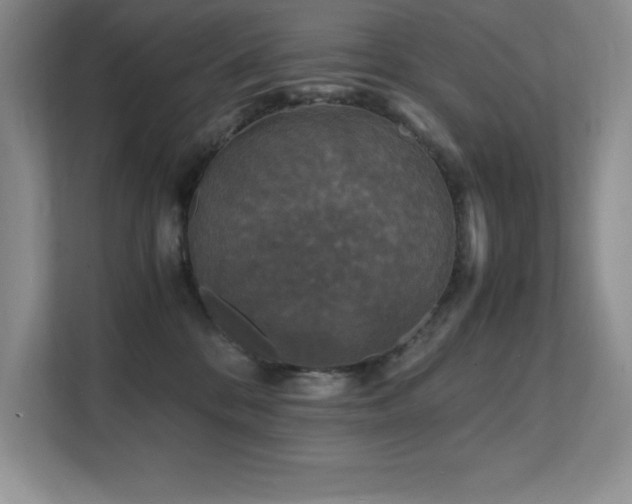 X0000112150328200908071121