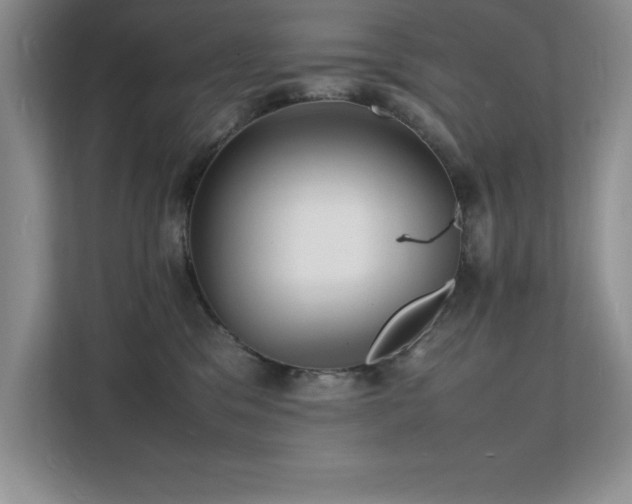 X0000112150329200908071121
