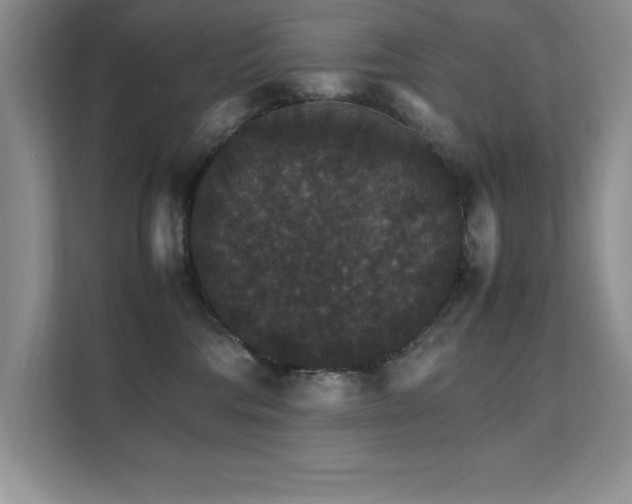 X0000112150330200908071121