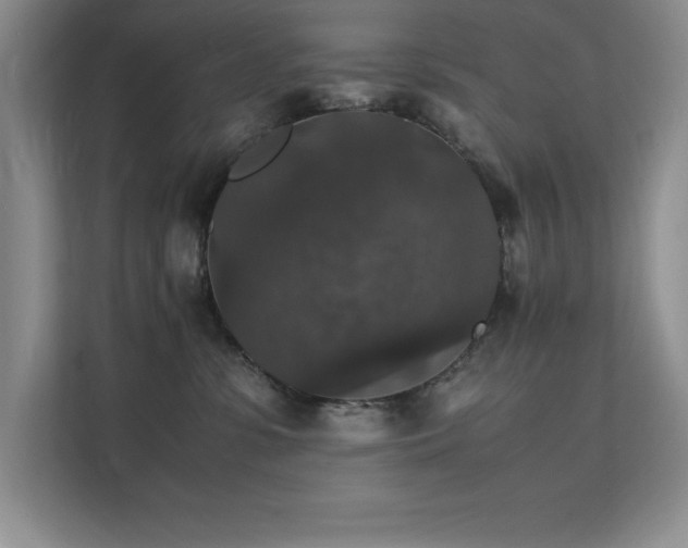 X0000112150331200908071121