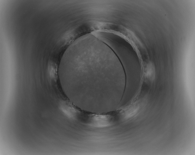 X0000112150332200908071121