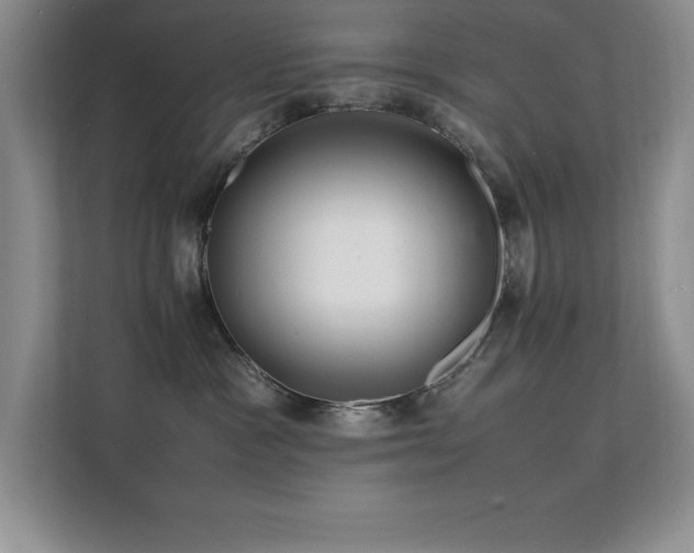 X0000112150333200908071121