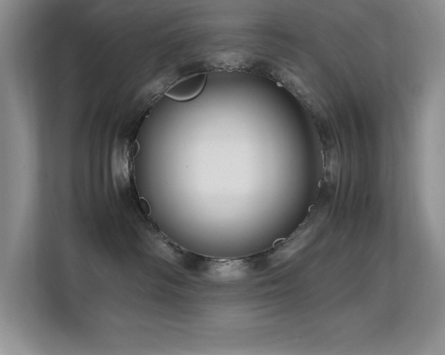 X0000112150334200908071121