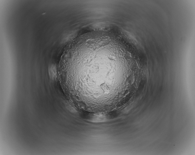 X0000112150335200908071121