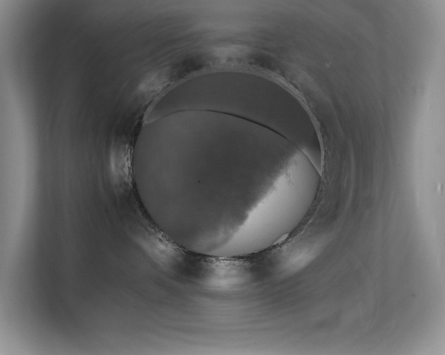 X0000112150336200908071121
