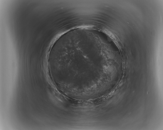 X0000112150337200908071120