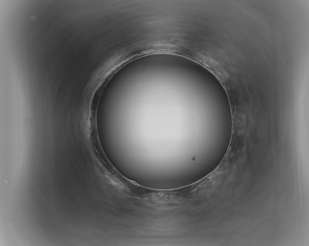 X0000112150338200908071120