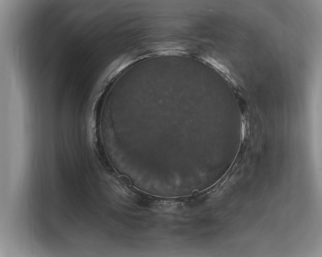 X0000112150339200908071120