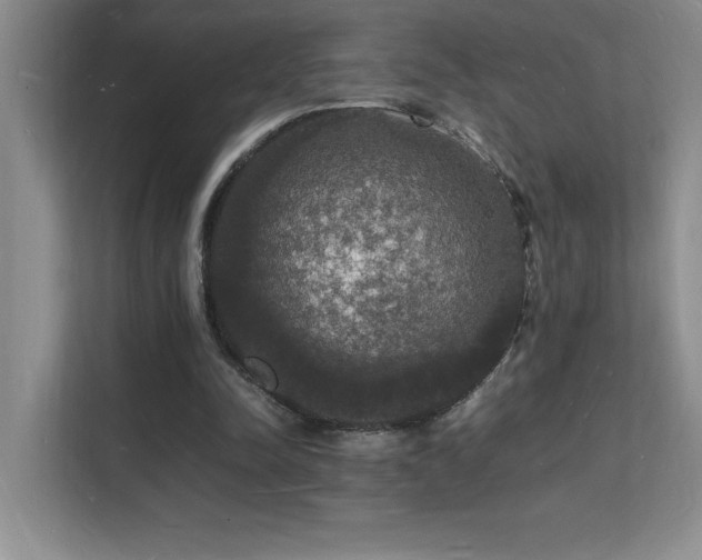 X0000112150342200908071120