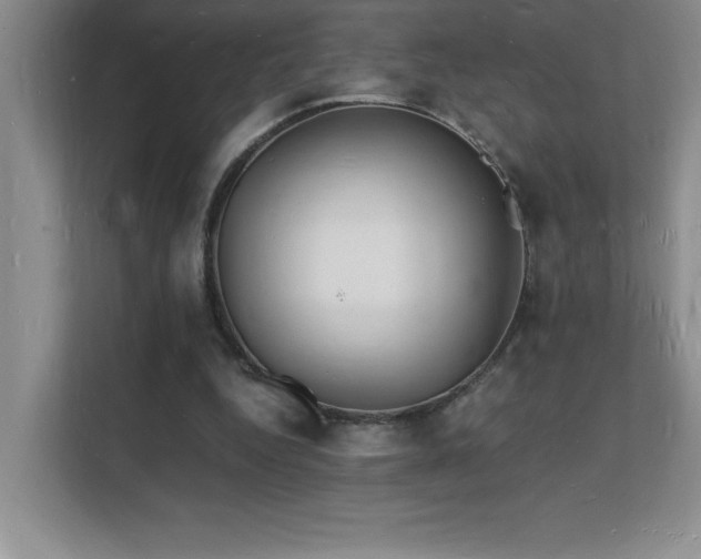 X0000112150344200908071120