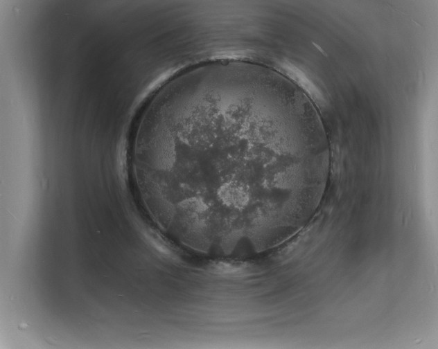 X0000112150346200908071120