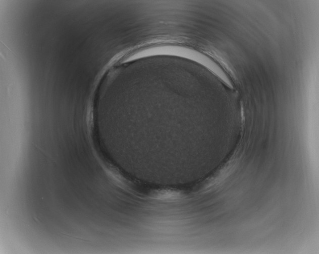X0000112150348200908071120