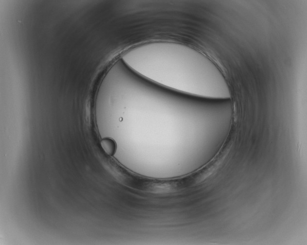 X0000112150349200908071120