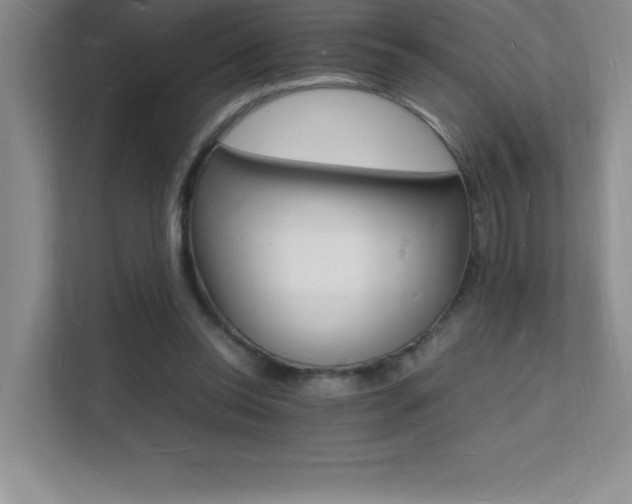 X0000112150350200908071120