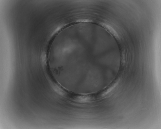 X0000112150351200908071120