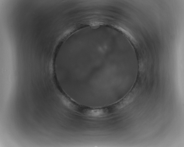 X0000112150353200908071120